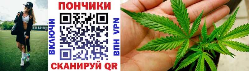 Бошки марихуана Amnesia где купить наркоту Саранск